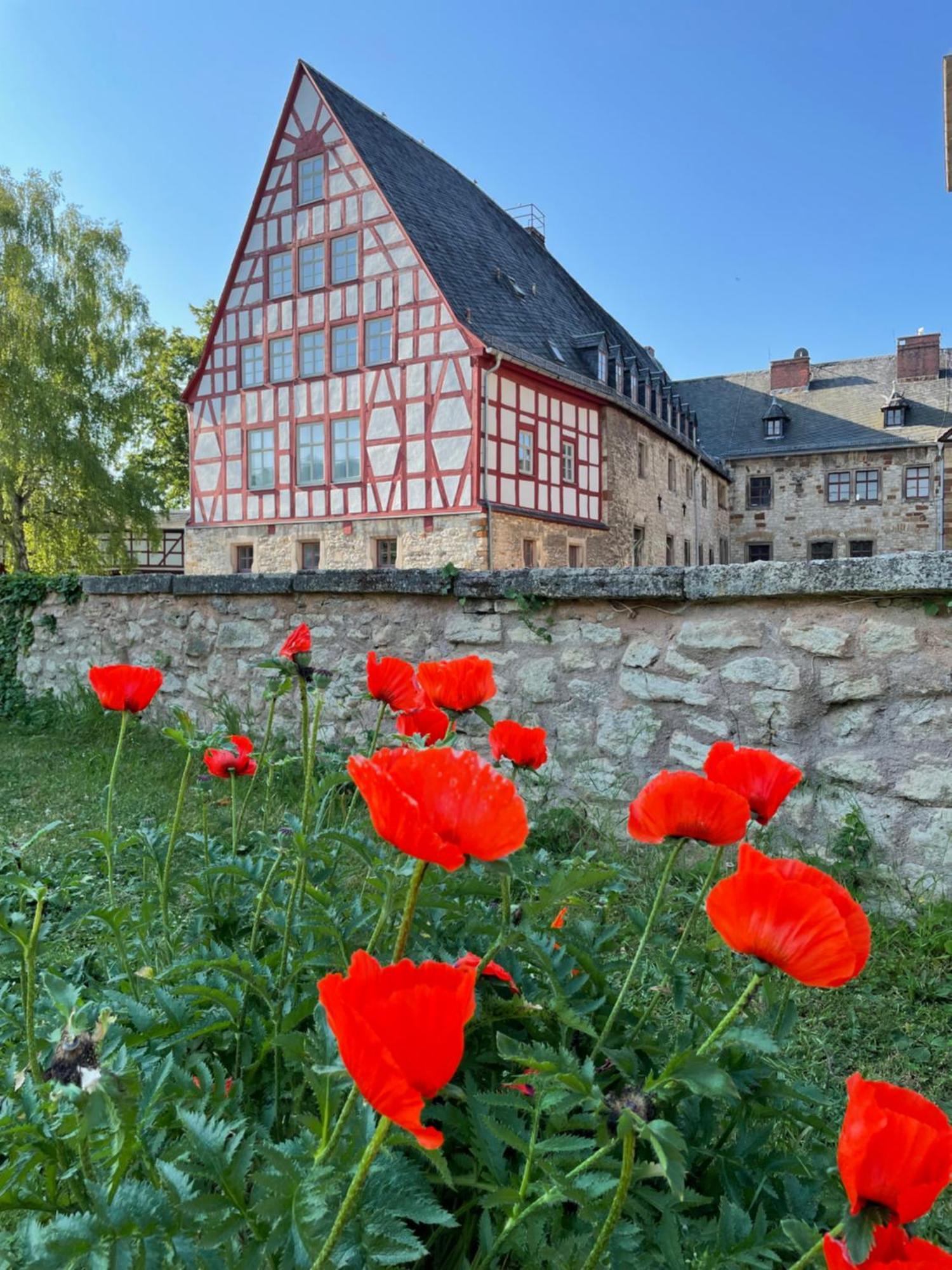 Schloss Beichlingen 外观 照片